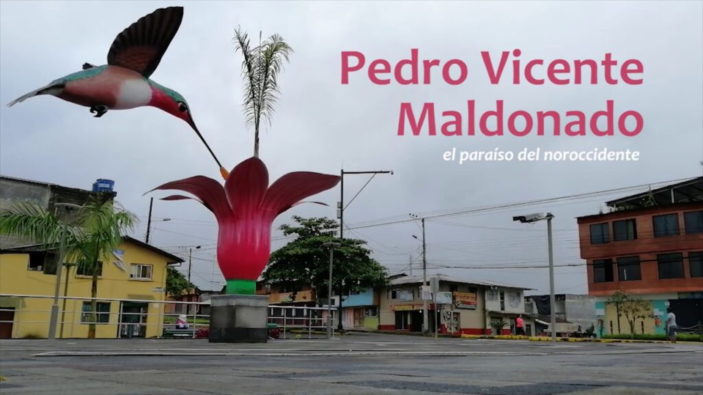 Cytotec Pedro Vicente Maldonado
